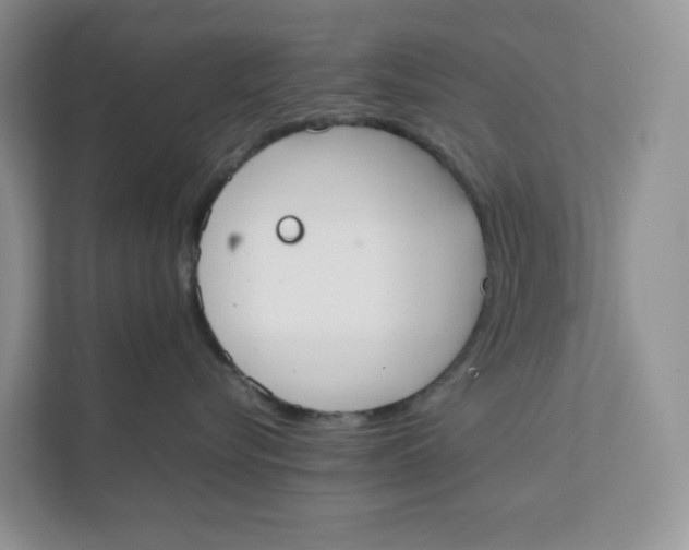 X0000111350576200907310954