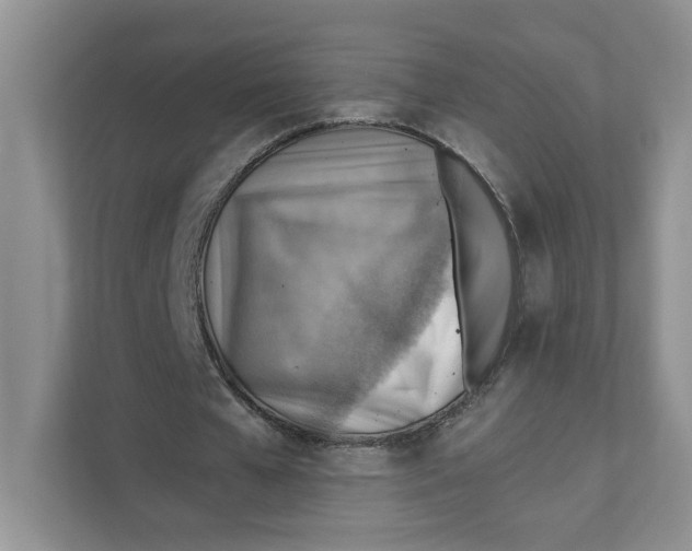 X0000111350577200907310954