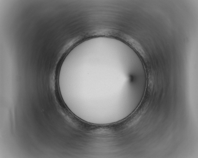 X0000111350578200907310954