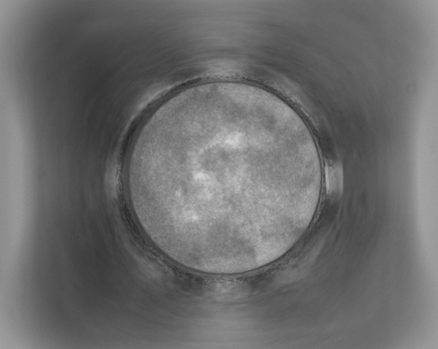 X0000111350579200907310954