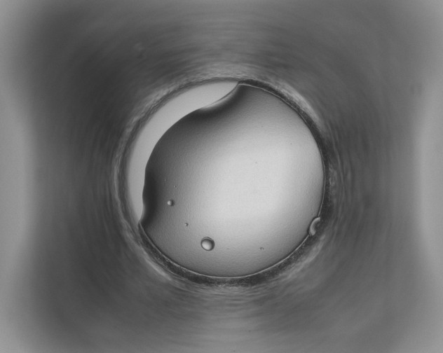 X0000111350581200907310954