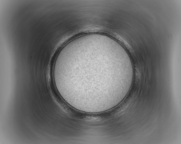 X0000111350582200907310954