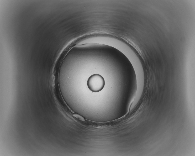 X0000111350584200907310954