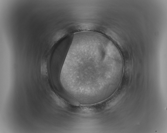 X0000111350585200907310954