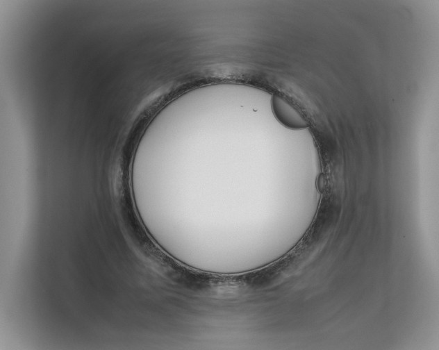 X0000111350587200907310954