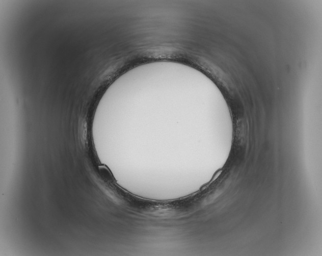 X0000111350589200907310954