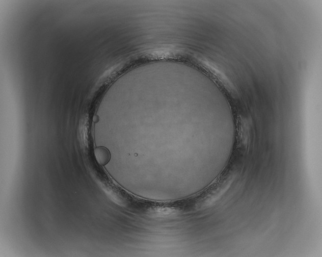 X0000111350590200907310954