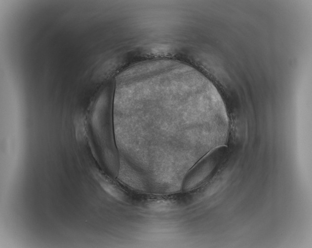 X0000111350593200907310954