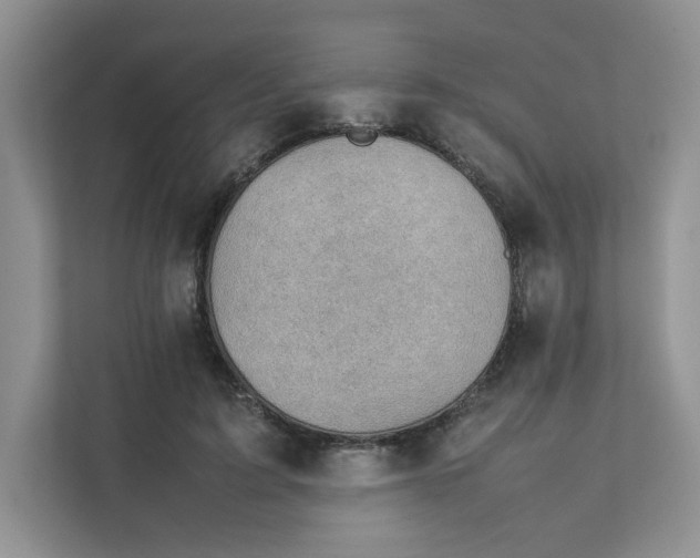 X0000111350595200907310954