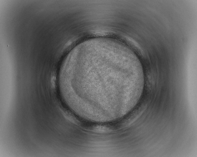 X0000111350596200907310954