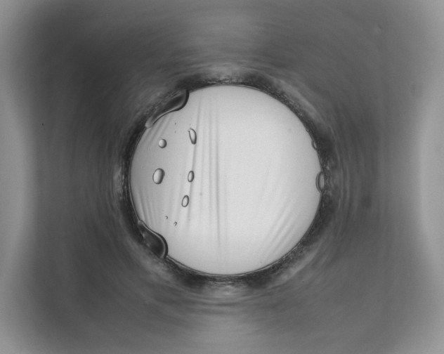 X0000111350597200907310954