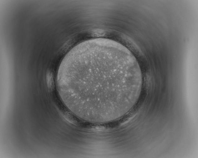 X0000111350598200907310953