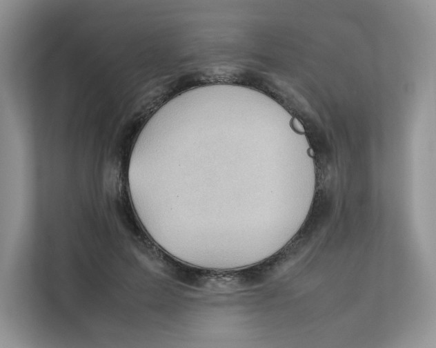 X0000111350599200907310953