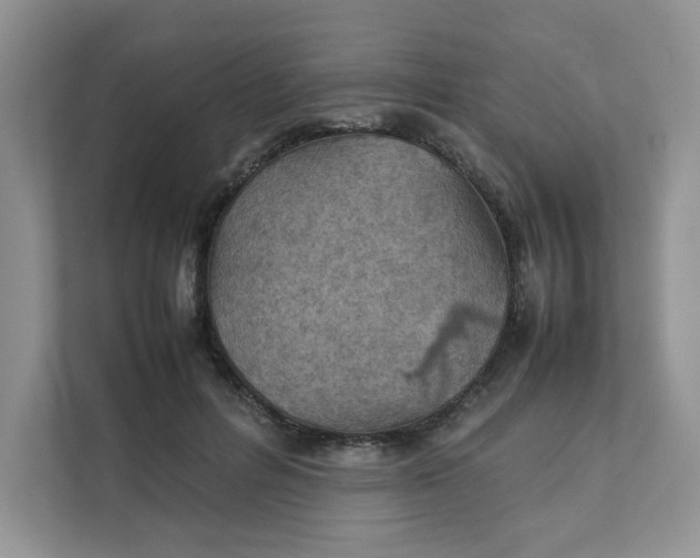 X0000111350600200907310953