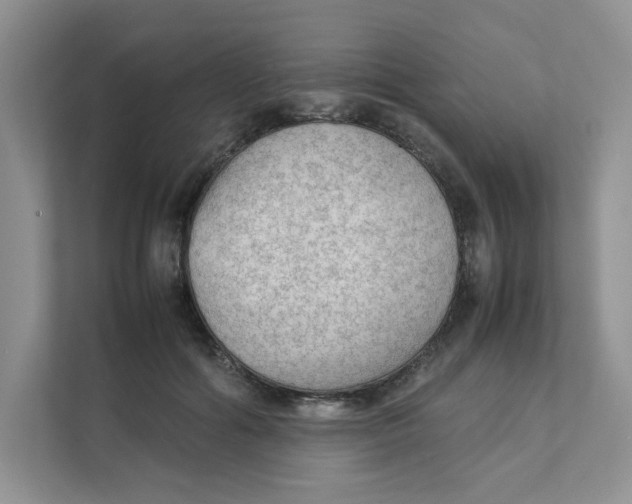 X0000111350602200907310953