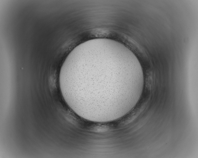 X0000111350604200907310953