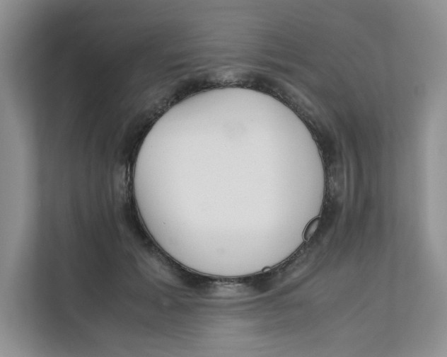 X0000111350605200907310953