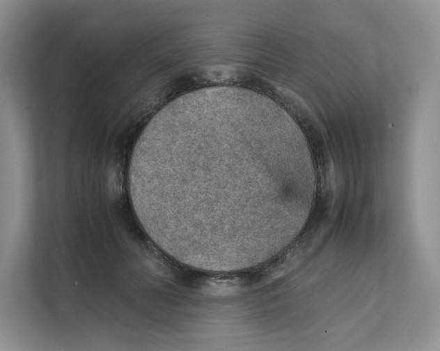 X0000111350606200907310953