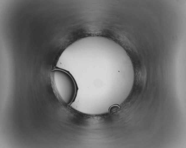 X0000111350609200907310953