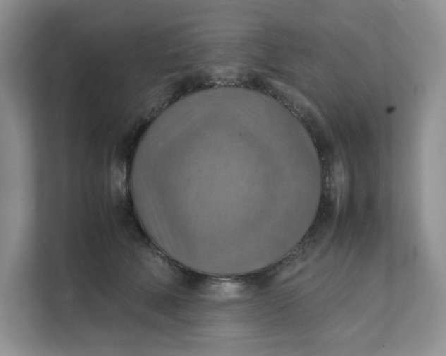 X0000111350610200907310953