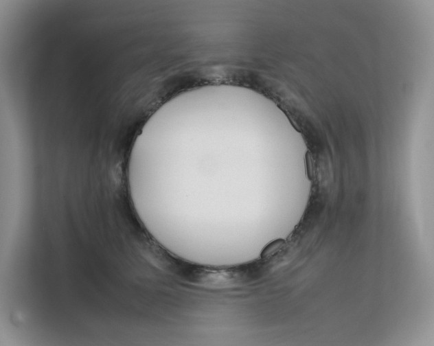 X0000111350611200907310953