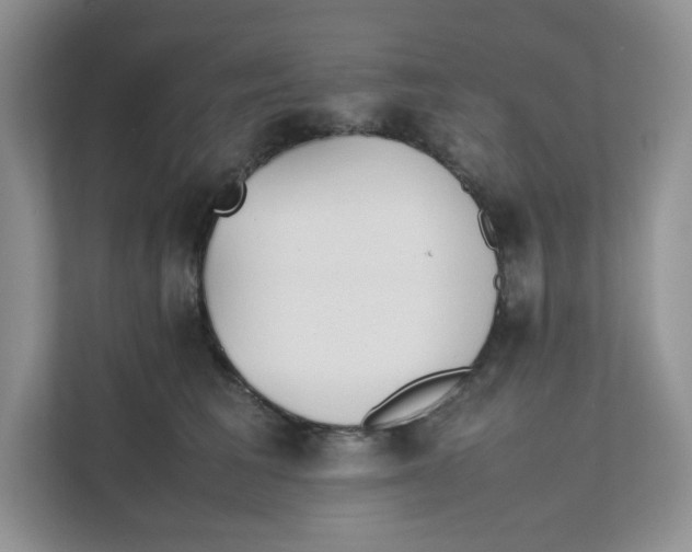 X0000111350613200907310953