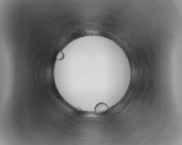 X0000111350614200907310953