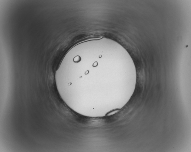 X0000111350617200907310953