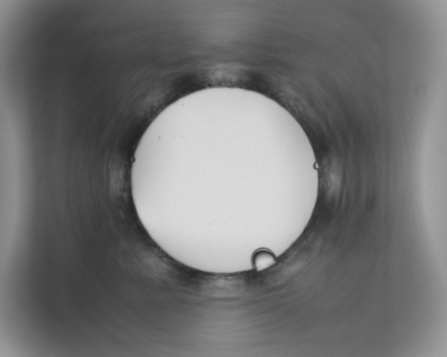 X0000111350619200907310953