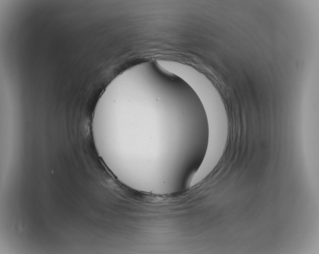 X0000111350621200907310953