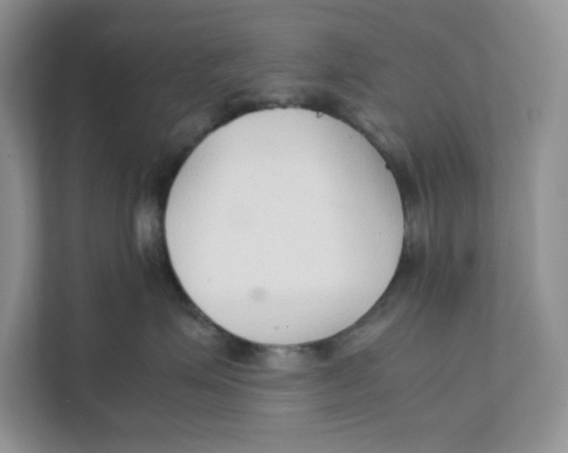 X0000111350623200907310953