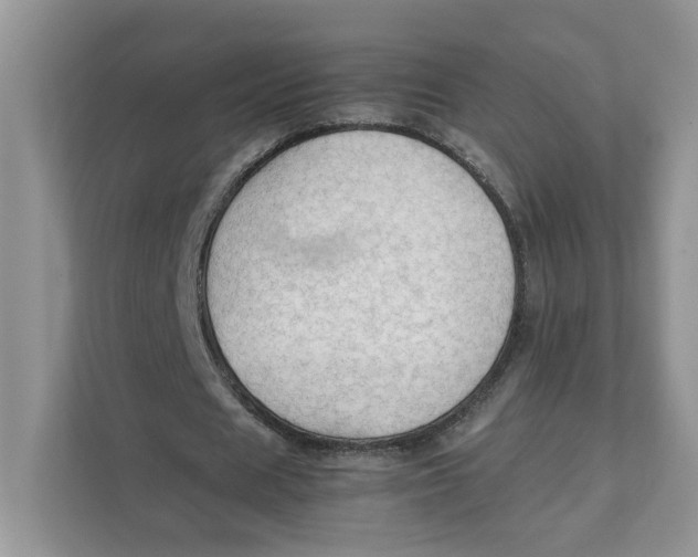 X0000111350625200907310953