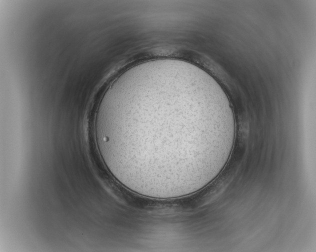 X0000111350626200907310953