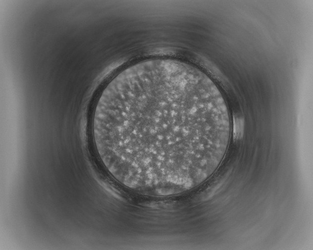 X0000111350627200907310953