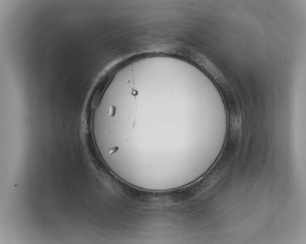 X0000111350628200907310953