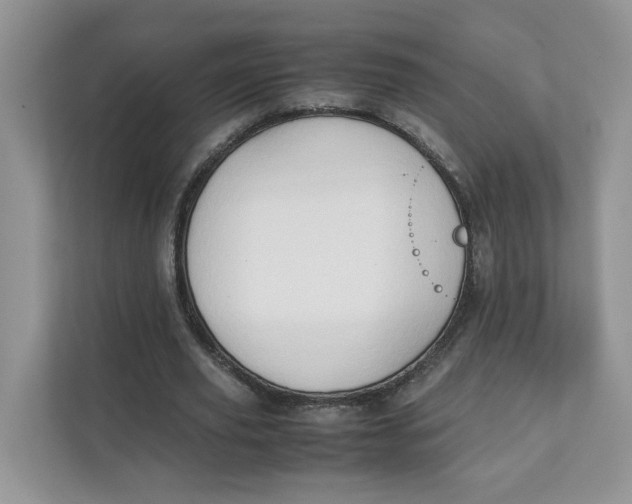 X0000111350629200907310953