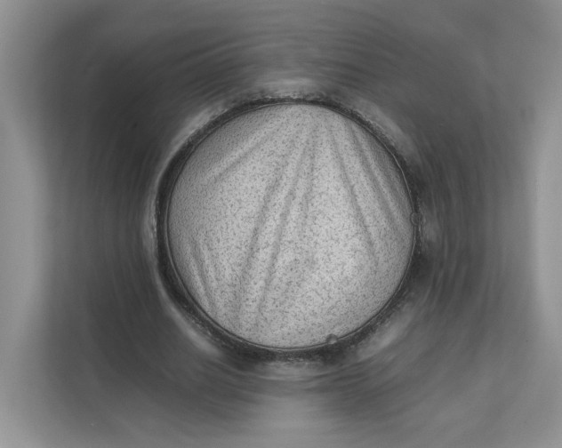 X0000111350630200907310953