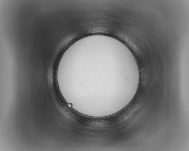 X0000111350631200907310953