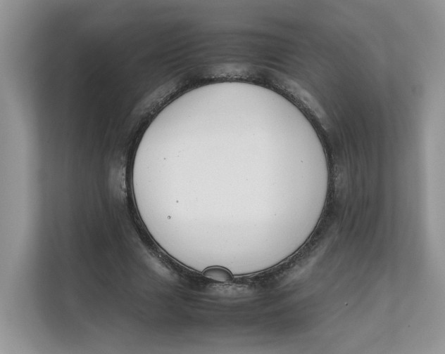 X0000111350633200907310953