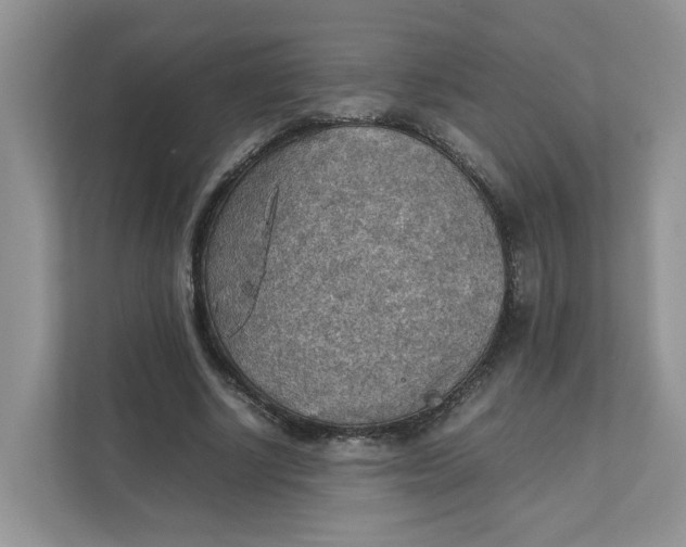 X0000111350634200907310953