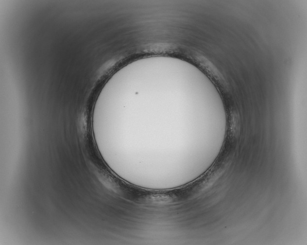 X0000111350636200907310953