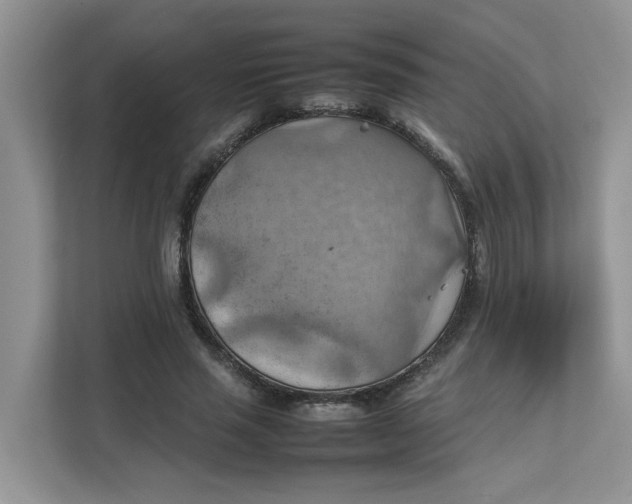 X0000111350637200907310953