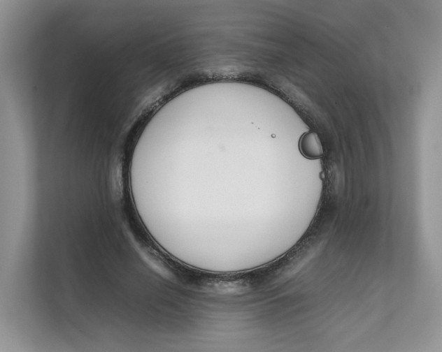 X0000111350638200907310953