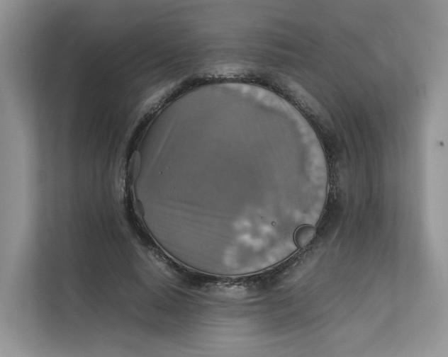 X0000111350640200907310953