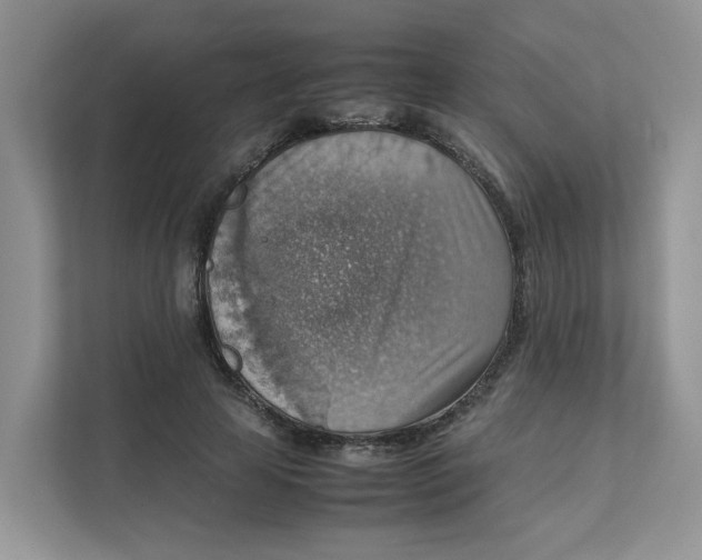 X0000111350641200907310953