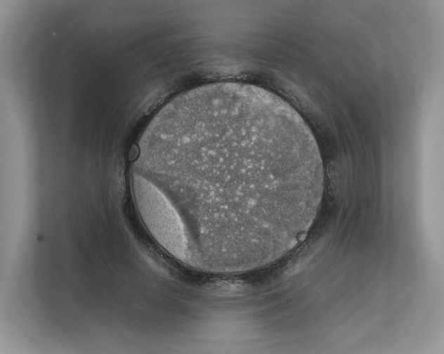 X0000111350642200907310953