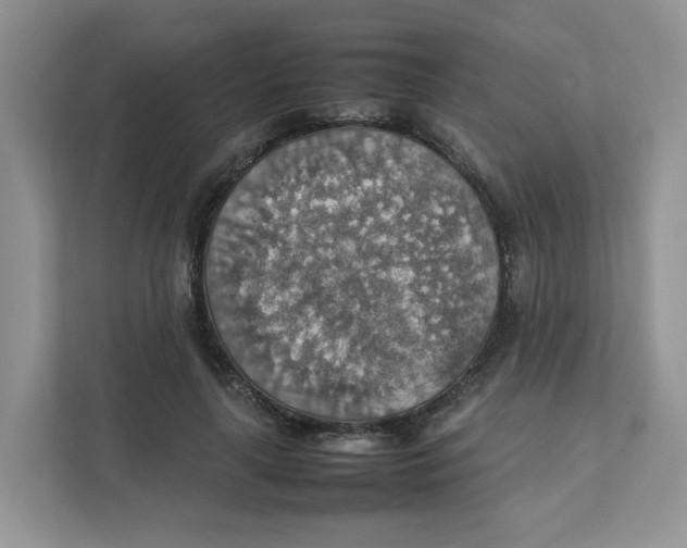 X0000111350643200907310953