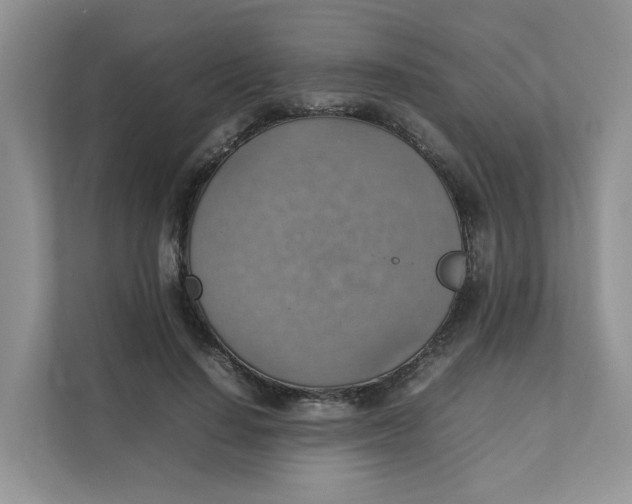 X0000111350644200907310953