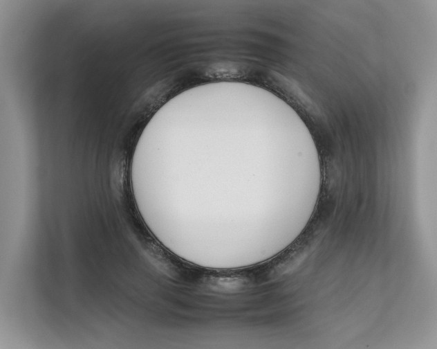 X0000111350645200907310953