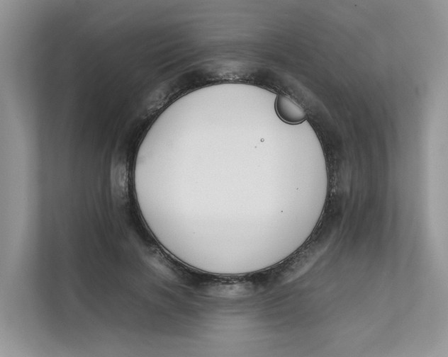 X0000111350646200907310953